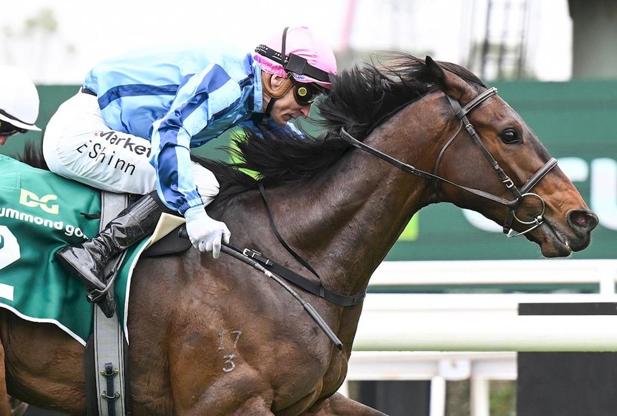 TRUE REBEL ANNOUNCES HIMSELF AS DERBY CONTENDER